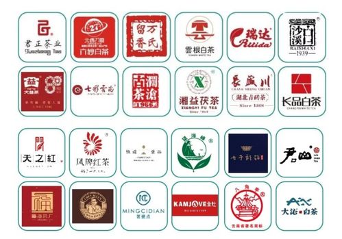 回顧往屆風(fēng)采 2021展會迎來新升級