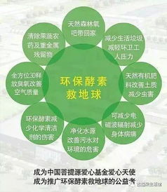 酵素制作方法 視頻講解