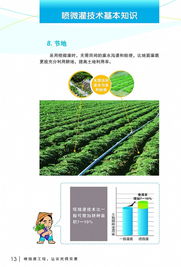 噴微灌技術推廣應用宣傳冊 圖片格式 寧波市水利局