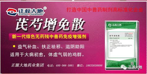 產蛋率下降,下降,下降,怎么辦